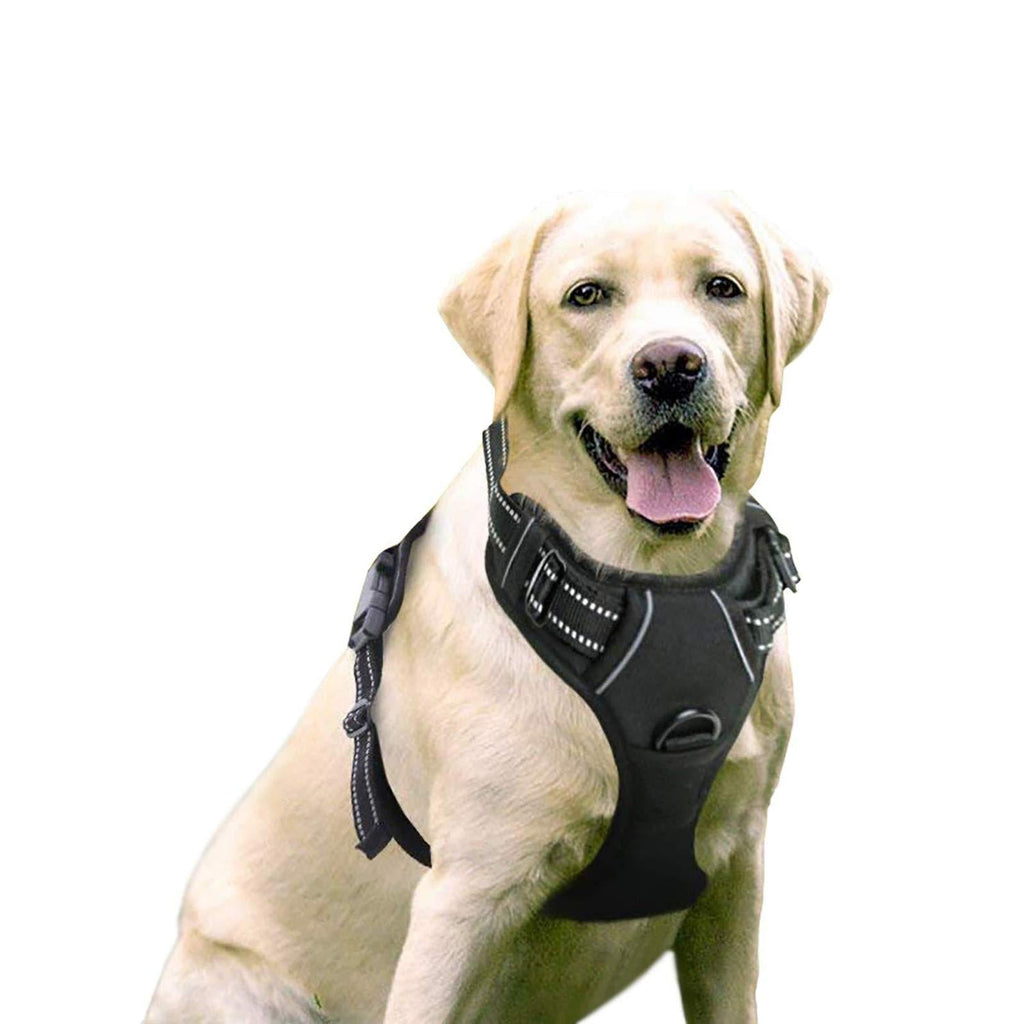rabbitgoo No Pull Dog Harness Padded Adjustable Pet Vest Harness with Handle Front Clip Harness for Large Dogs Training or Walking, Durable and No Choking Black - PawsPlanet Australia