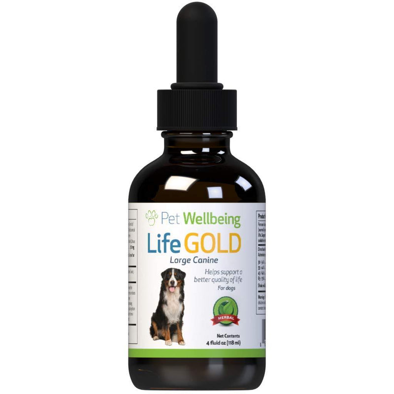 Pet Wellbeing - Life Gold For Large Canines - Natural Cancer Support For Dogs - 4 Ounce (118 Milliliter) - PawsPlanet Australia