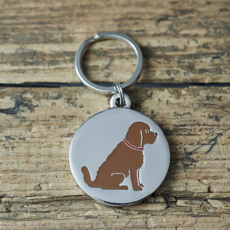 Sweet William Cockapoo/Labradoodle (Chocolate) Dog Tag/Keyring - PawsPlanet Australia