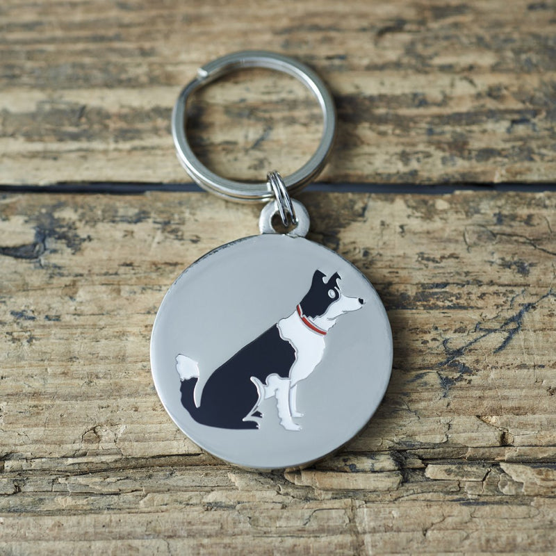 Sweet William Border Collie Dog Tag/Keyring - PawsPlanet Australia