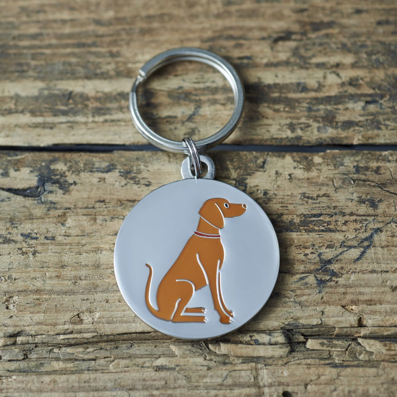 Sweet William Vizsla Dog Tag/Keyring - PawsPlanet Australia