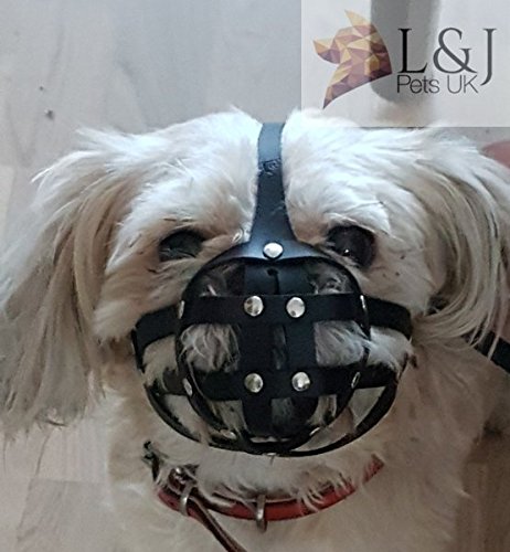 L&J Pets Uk Dog Muzzle for Shih Tzu, Pug and other flat face short snout dog's (M2, Black) - PawsPlanet Australia