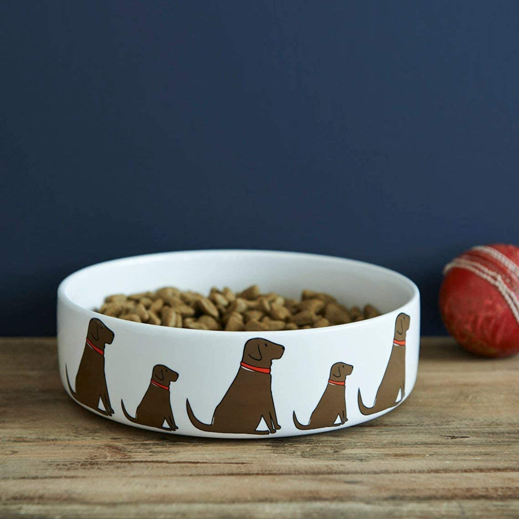 Sweet William Chocolate Labrador Dog Bowl - PawsPlanet Australia