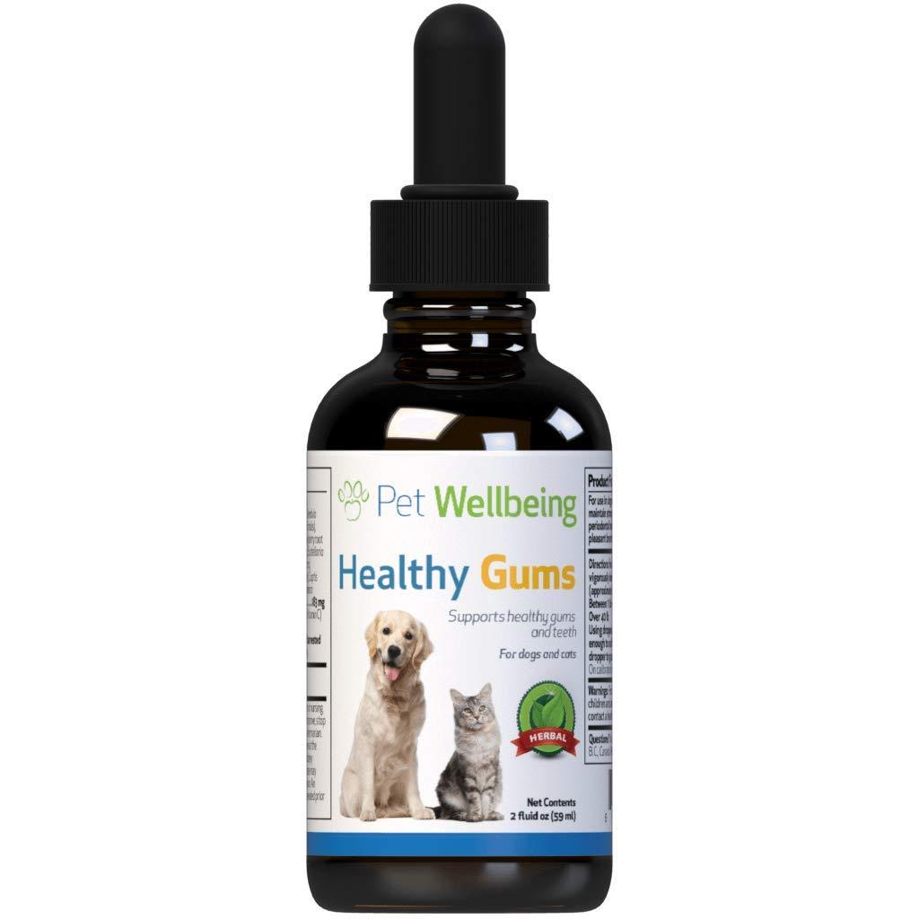 Pet Wellbeing - Healthy Gums for Cats - Natural Support for Periodontal Health in Felines - 2oz (59ml) - PawsPlanet Australia
