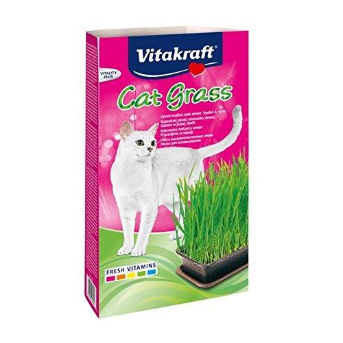 Vitakraft Cat Grass 6 x 120g Packs - PawsPlanet Australia