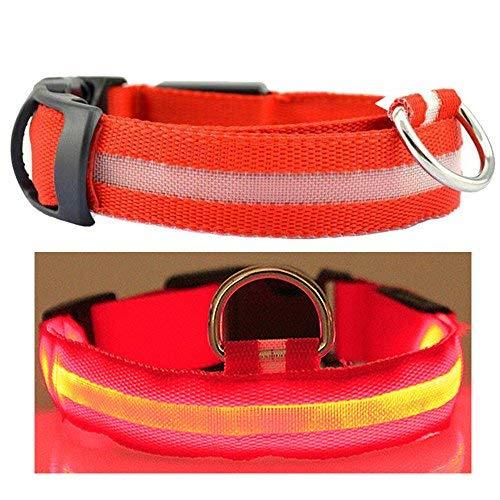 Flashing Light Dog Collar. Waterproof Reflective LED Safety Pet Collars. Small (Small, Red) - PawsPlanet Australia