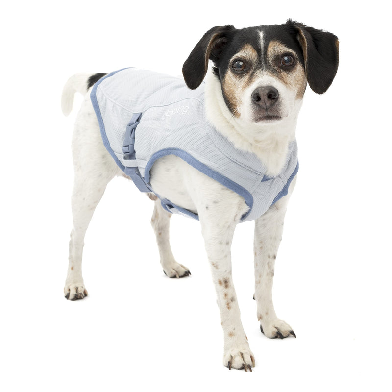 Kurgo Dog Core Cooling Vest, Evaporative Cooling Jacket for Dogs, Lightweight, Reflective, Small-Icy Blue/Storm Blue - PawsPlanet Australia