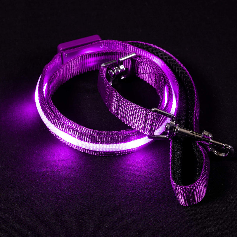 Blazin' Safety LED Dog Leash - USB Rechargeable Flashing Light Lead, 4 Ft, Water Resistant – Lightweight (S, Purple) - PawsPlanet Australia
