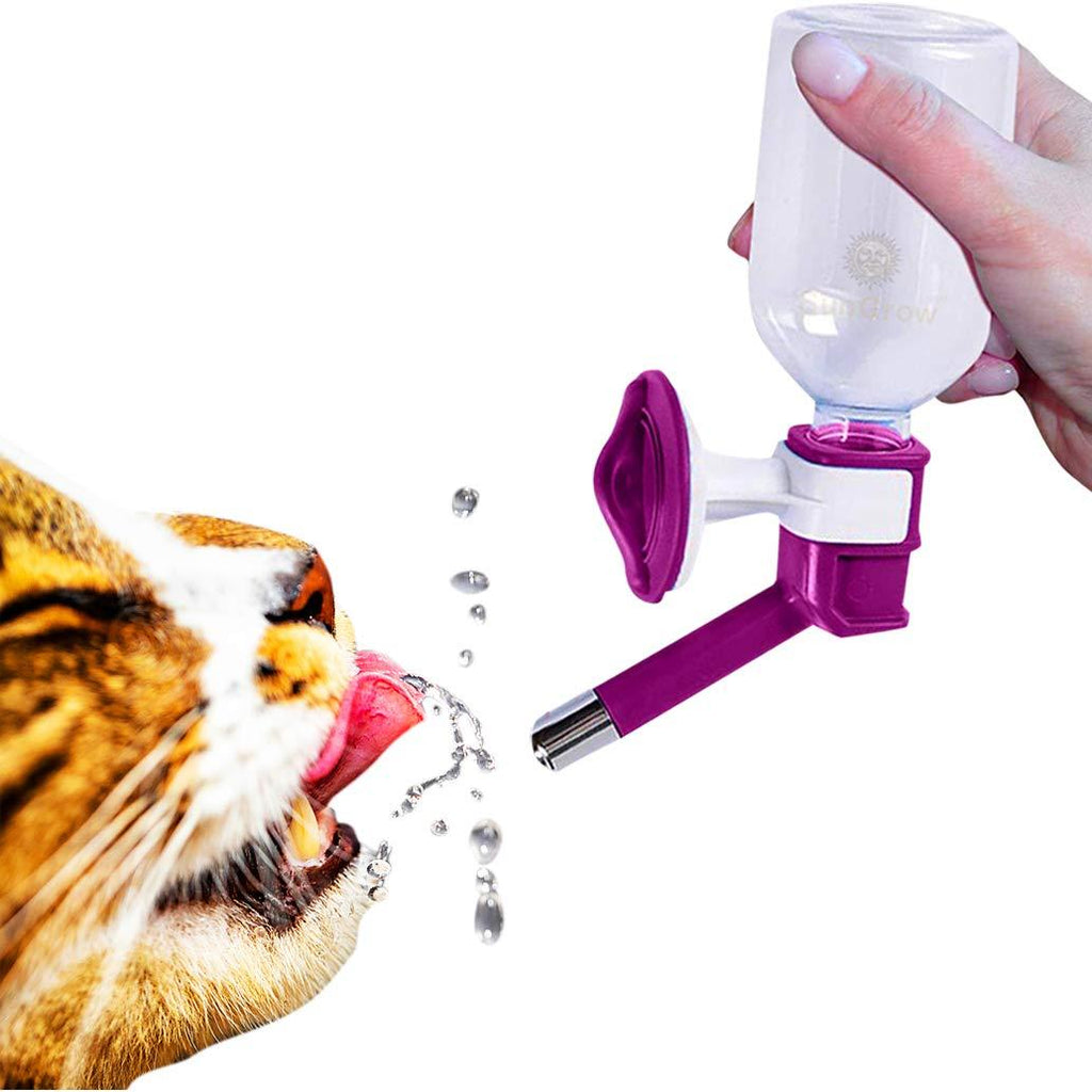 SunGrow Cat Water Bottle, No Drip Pet Dispenser Bottle, with Stainless Steel Sucker, Easy to Install in Cage or Crate, Keeps Small Animals Hydrated, 10 Ounce Capacity, Purple Color - PawsPlanet Australia