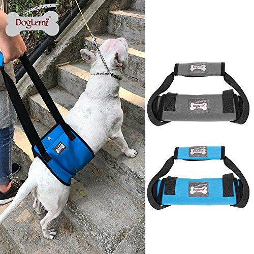 Doglemi UBS PetsMart Lift Support with Harness and Handle (X-Large, Grey) X-Large - PawsPlanet Australia