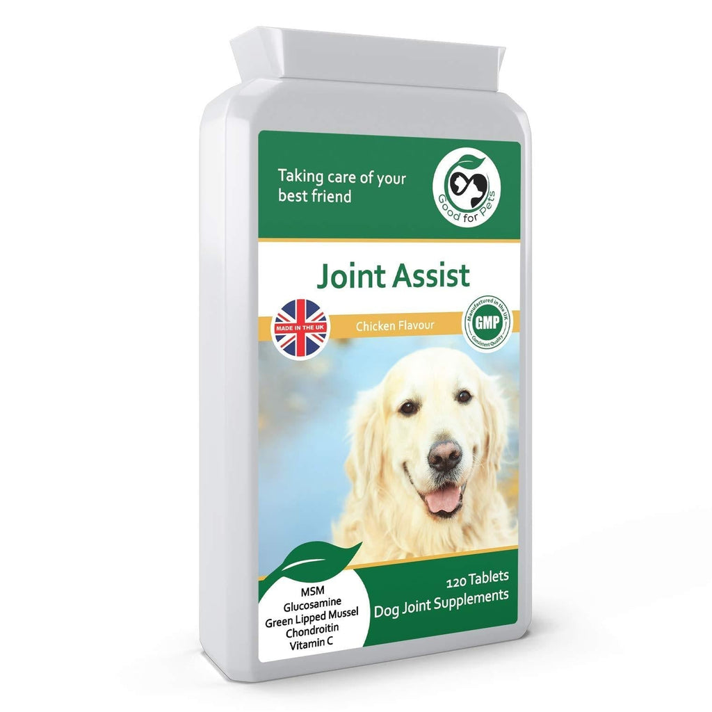 JOINT ASSIST ~ Joint Supplements For Dogs ~ Contains A Powerful Blend Of Natural Glucosamine for Dogs, Green Lipped Mussel & MSM ~ Aids Stiff Joints & Supports Joint Health In Older Dogs. 120 - PawsPlanet Australia