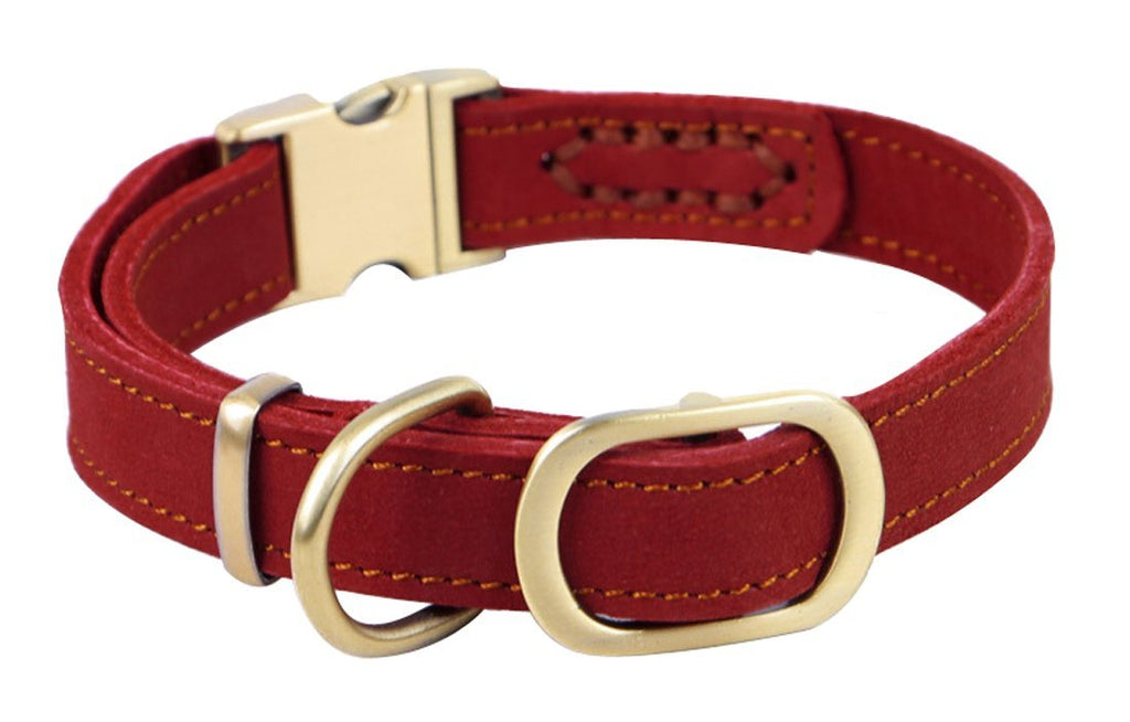 [Australia] - PENTAQ Dogs Collars Basic Pet Puppy Dog Head Collars Adjustable Neck 30 cm to 43cm and 2cm Wide,Strong and Durable copper Buckle Easy to Use Collar Buckle For Small/Medium Dogs Red 
