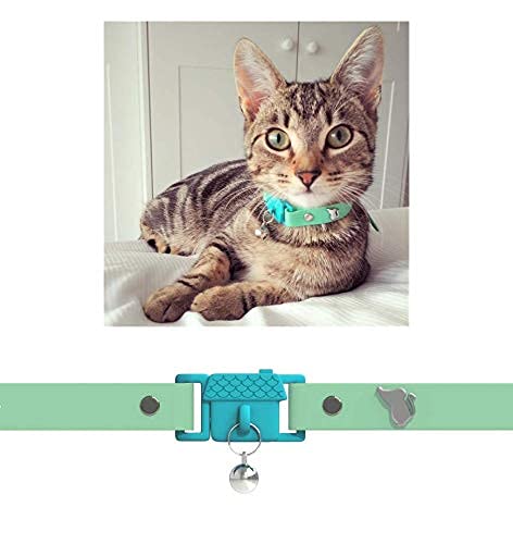 Kittyrama Cat & Kitten Collars. As Seen in VOGUE. Award Winning. Vet Approved. Breakaway, Hypoallergenic, Comfy & Soft. Meadow. Other Styles Available Adult - PawsPlanet Australia