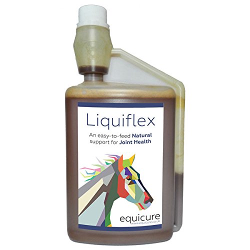 Equicure LiquiFlex - Natural Joint Support for Horse / Pony (1 Litre) - PawsPlanet Australia