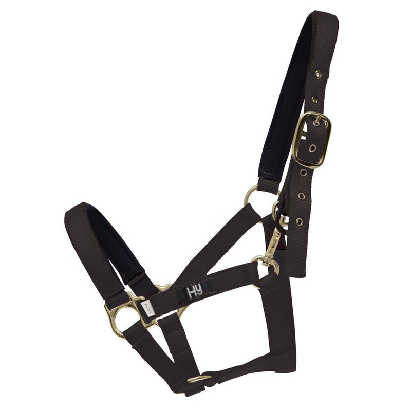 Hy Fieldsafe Headcollar - Black - Cob - Horse Equestrian Halters & Headcollars - PawsPlanet Australia