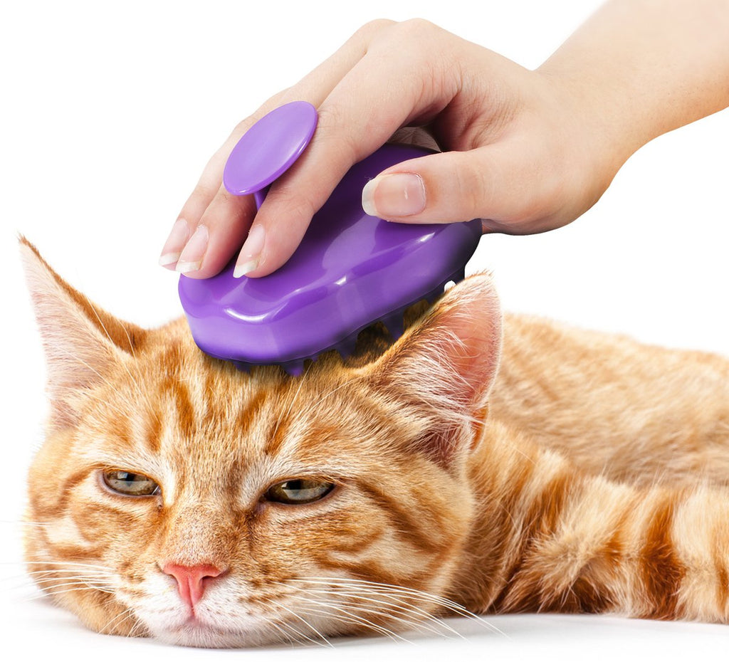 purr paw Cat Brush with Silicone Pins  Grooming & Shedding Massage Brush for Short & Long Hair - PawsPlanet Australia