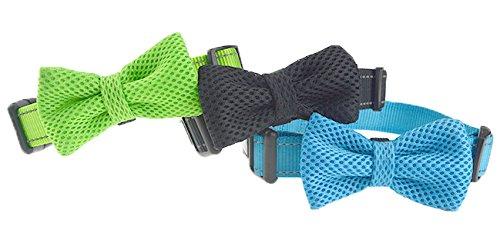 DEXDOG Bow Tie Dog Collar, Male Boy Puppy Accessory (Small, Green) S - PawsPlanet Australia