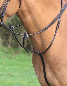 Shires Aviemore Running Martingale Havana Small Pony - PawsPlanet Australia