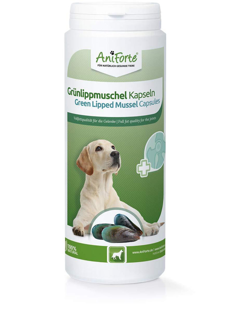 AniForte Green Lipped Mussel for Dogs and Cats 500mg x 300 Capsules - 100% Natural Joint Supplement with Glucosamine, Lipids, Omega-3 Fatty Acids, Minerals and Amino Acids - PawsPlanet Australia