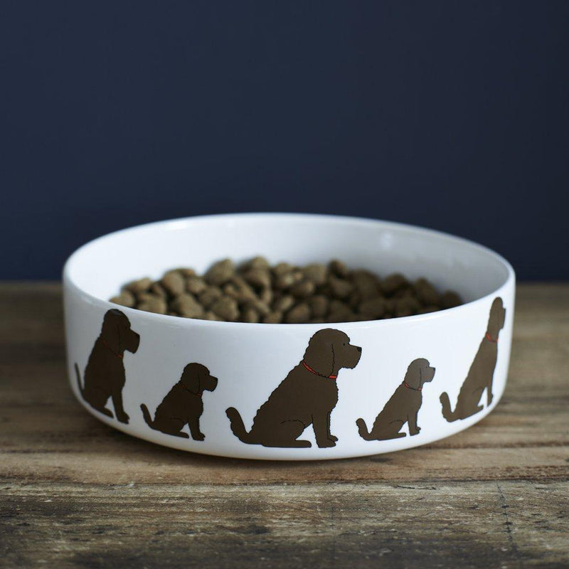 Sweet William Cockapoo/Labradoodle (Chocolate) Dog Bowl - PawsPlanet Australia