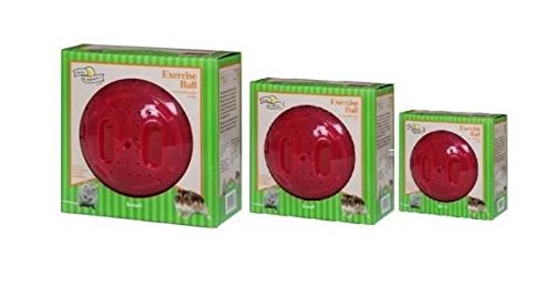 Walter Harrison's Small Animal Plastic Running Exercise Ball For Degus and Rats - Large - 25 cm - PawsPlanet Australia