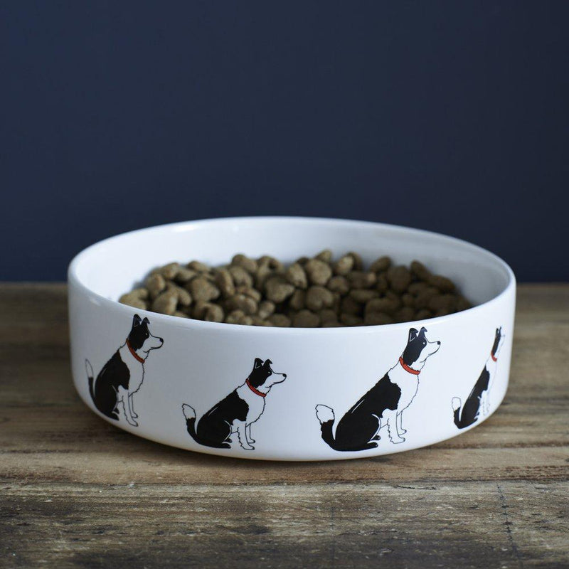 Sweet William Border Collie Dog Bowl - PawsPlanet Australia