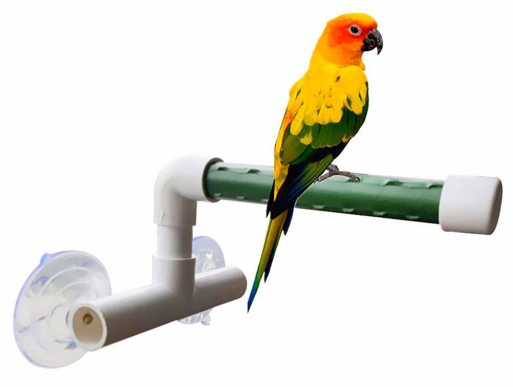Hypeety Bird Parrot Stand Perch Shower Standing Toy Portable Suction Cup Parrot Shower Perch Bath Stands Suppllies Holder Platform Parakeet Window Hanging Play(SMALL) - PawsPlanet Australia