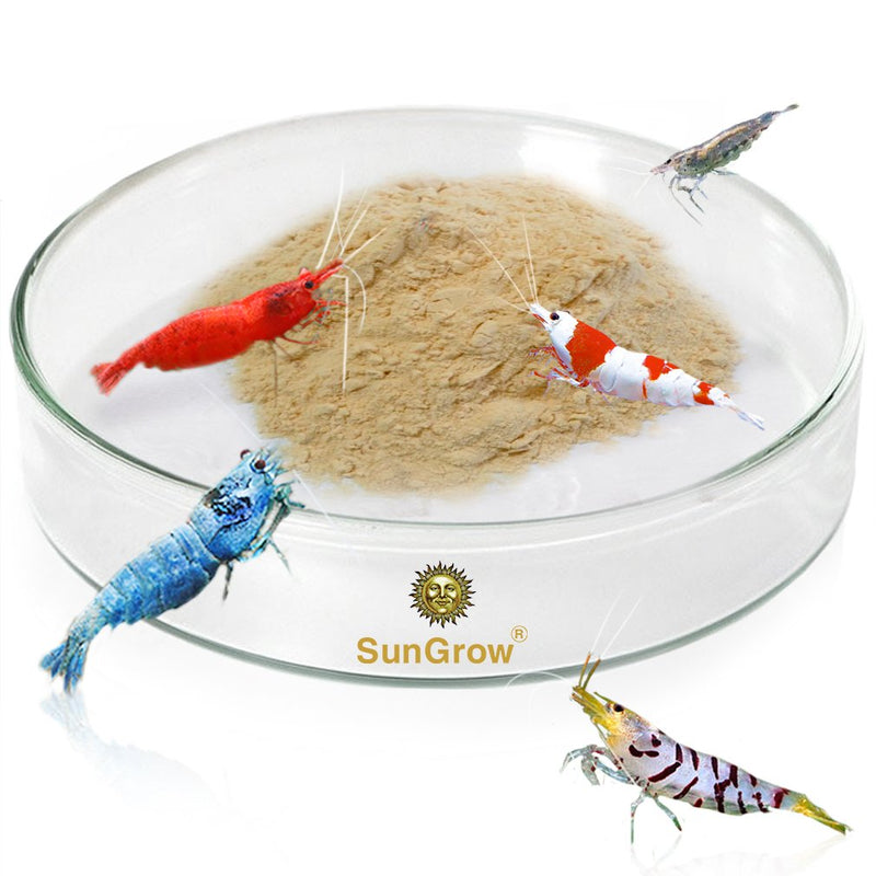 Tough Borosilicate Glass Shrimp Feed Dish, Never Run out Of Food for Shrimps, Prevent Food Spilling, Heavy-Duty, Transparent Basin, for Shrimp Food or Fishs Tubifex Worms - PawsPlanet Australia