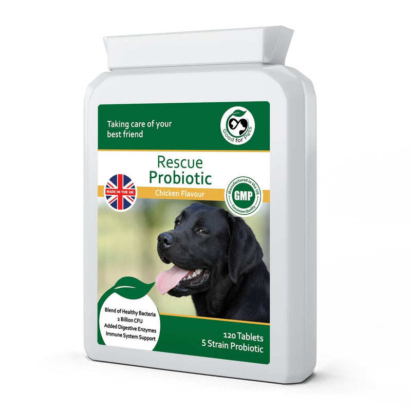 Rescue Probiotic Supplements For Dogs ~ 5 Strains Of Bacteria With Digestive Enzymes In A Prebiotic Inulin Base ~ Aids Dog Digestive Health & Boosts Canine Immunity ~ Made In The UK. - PawsPlanet Australia