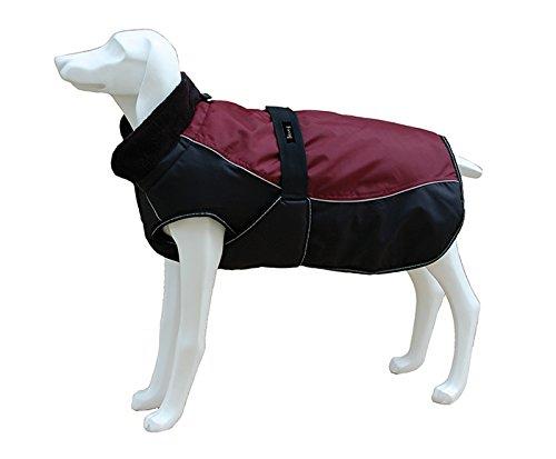 Freedog fd5000999 – Waterproof, Coat for Dog, Burgundy - PawsPlanet Australia