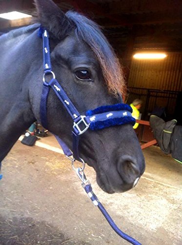 Cwell Equine NEW Horse print fur padded headcollars halter + matching lead set NAVY FULL/COB/PONY - PawsPlanet Australia