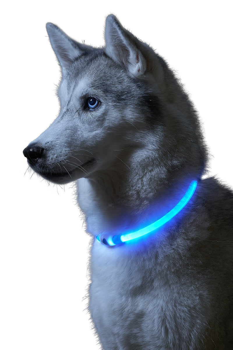 Auraglow Super Bright LED Light Up Dog Collar High Visibility Flashing Safety Pet Leash - BLUE - PawsPlanet Australia