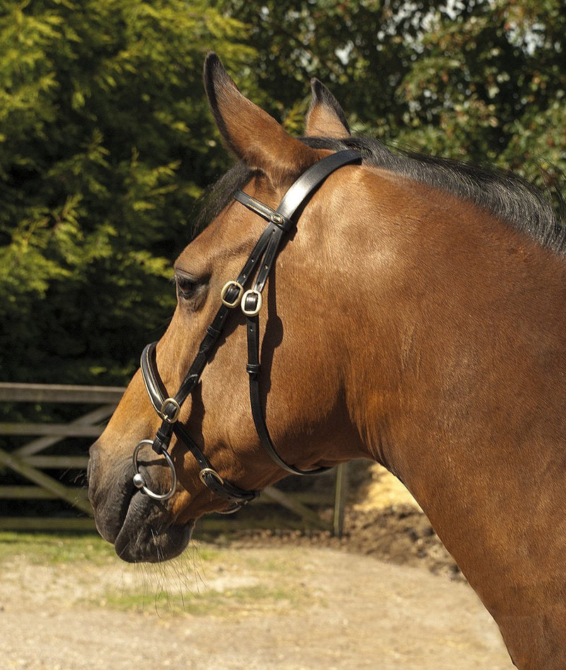 Heritage English Leather In-Hand Bridle Cob (Black) - PawsPlanet Australia