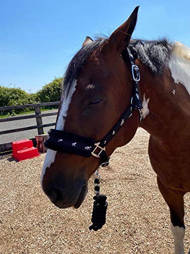 Equipride Horse Print Padded Nylon Headcollars with Matching Lead Rope Black (Small Pony) Small Pony - PawsPlanet Australia