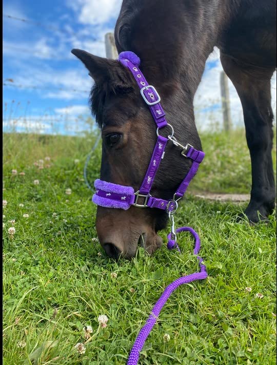 Equipride Horse Print Padded Nylon Headcollars With Matching Lead Rope Purple (Full) - PawsPlanet Australia