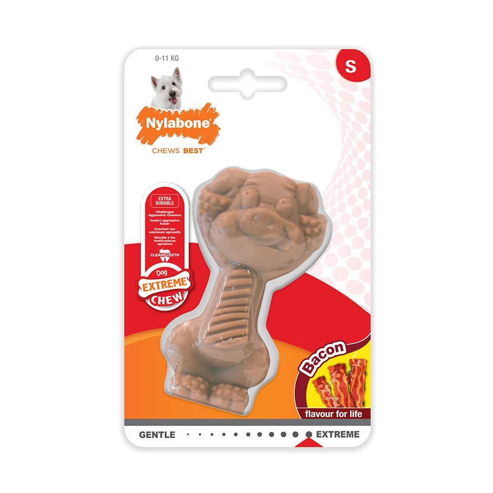 Nylabone Extreme Tough Dog Chew Toy Novelty Pig, Durable, Cleans Teeth, Bacon Flavour, Small, for Dogs Up to 11 kg May Vary - PawsPlanet Australia