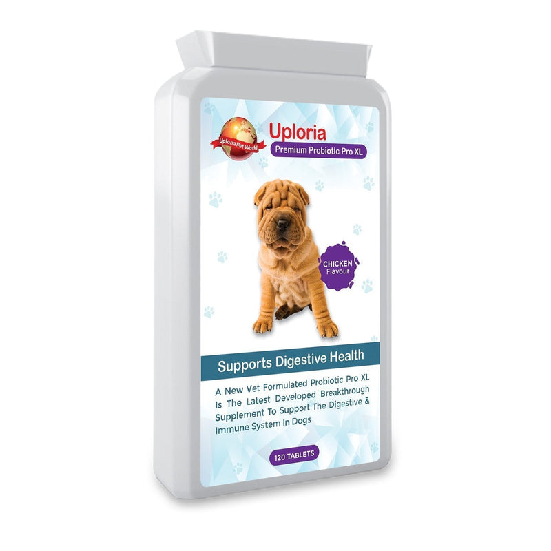 Uploria Pet World Probiotic Supplement For Dogs | 120 Chicken Flavour Tablets | Is Also A Immune System Supplements - PawsPlanet Australia