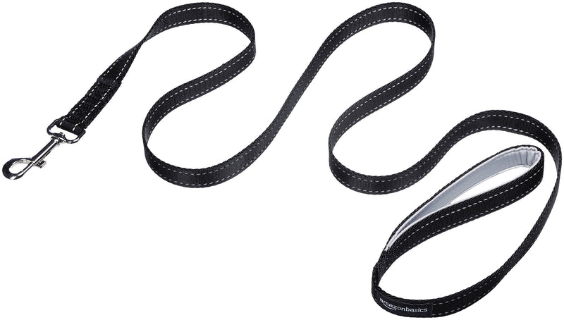 Amazon Basics Padded Handle Dog Leash - 1.52 m, Black 1.5 m - PawsPlanet Australia