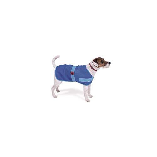 Petface Cooling Cool Summer Dog Coat, 40 cm - PawsPlanet Australia