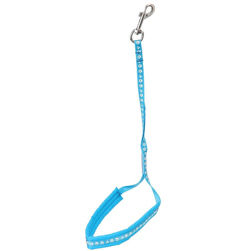 GROOM PROFESSIONAL Allon Basic Noose With Padding Paw Print Cyan Blue 45cm - PawsPlanet Australia