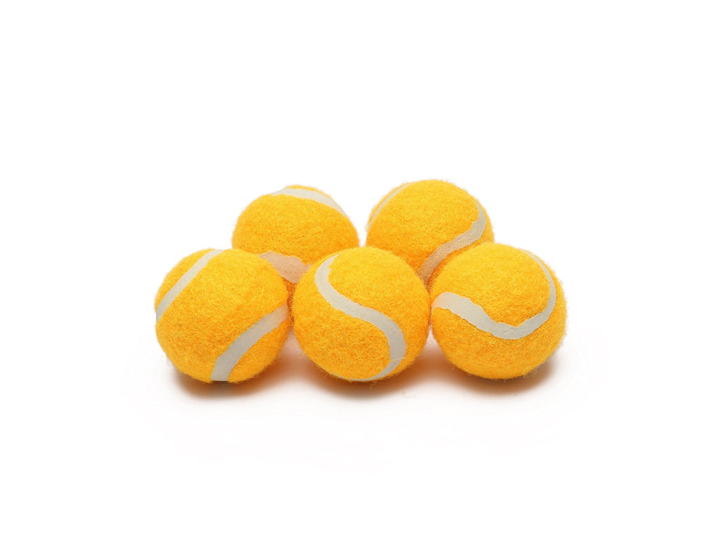 iDogmate Dog Ball, 1.65" Pet Ball for Mini Ball Launcher Small Size Safe Environment-Friendly Silicon Ball material (5pcs/Pack) - PawsPlanet Australia