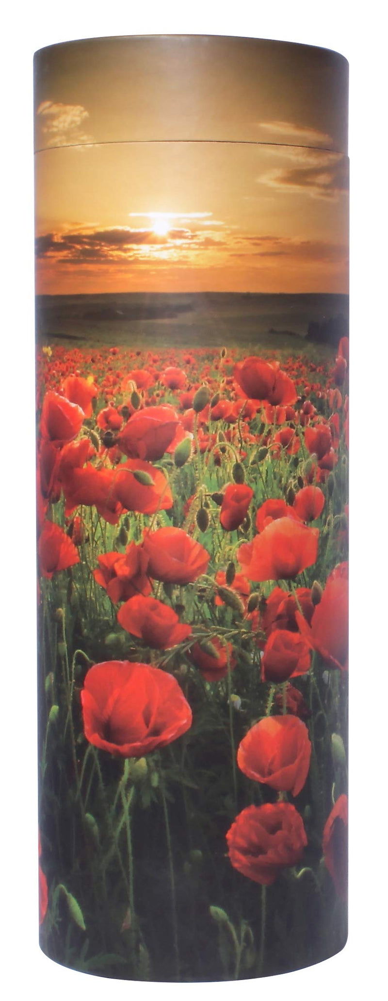 Scattering Ashes Urn, Scatter Tube, Eco-friendly Biodegradable Cremation Urn (Poppy Sunset) (Large) - PawsPlanet Australia