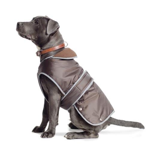 Ancol Muddy Paws Stormguard Dog Coat. Chocolate Extra Small. Length 25cm/ 45-54cm girth Clear XS - PawsPlanet Australia