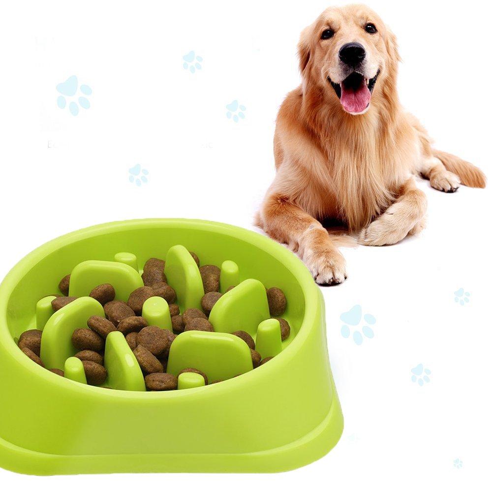 Slow Feed Dog Bowl 8 inch, Slow Eating Preventing Choking Healthy Design Bowl, Dog Food Water Bowl Pet Interactive Fun Feeder Bowl - PawsPlanet Australia