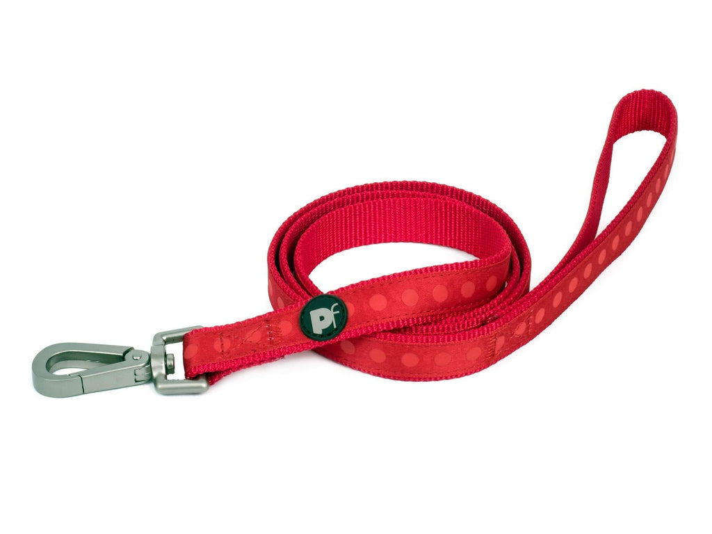 Petface Tonal Dots Print Nylon Dog Lead, Small, Red - PawsPlanet Australia