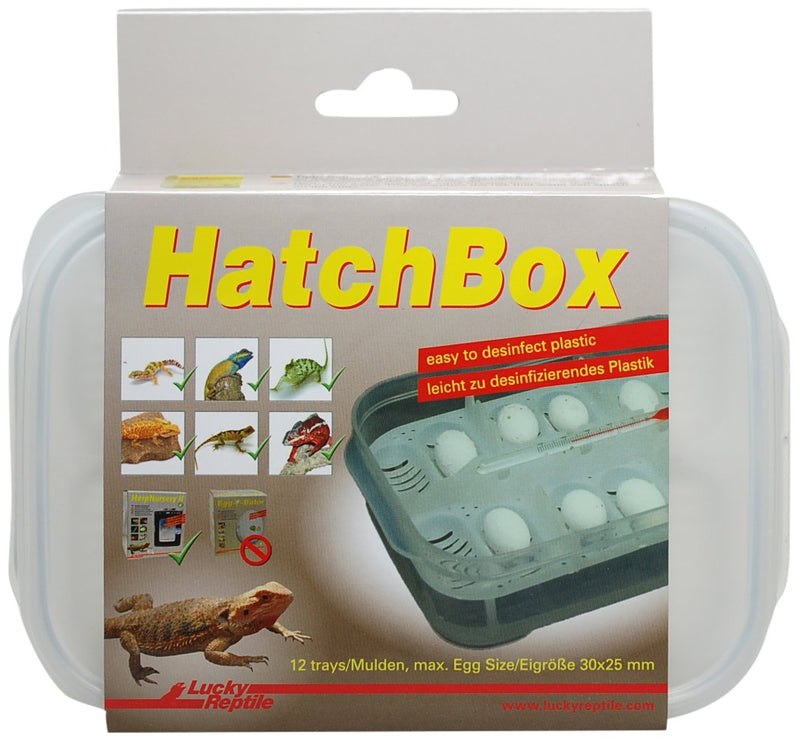 Lucky Reptile HB-01 HatchBox - PawsPlanet Australia