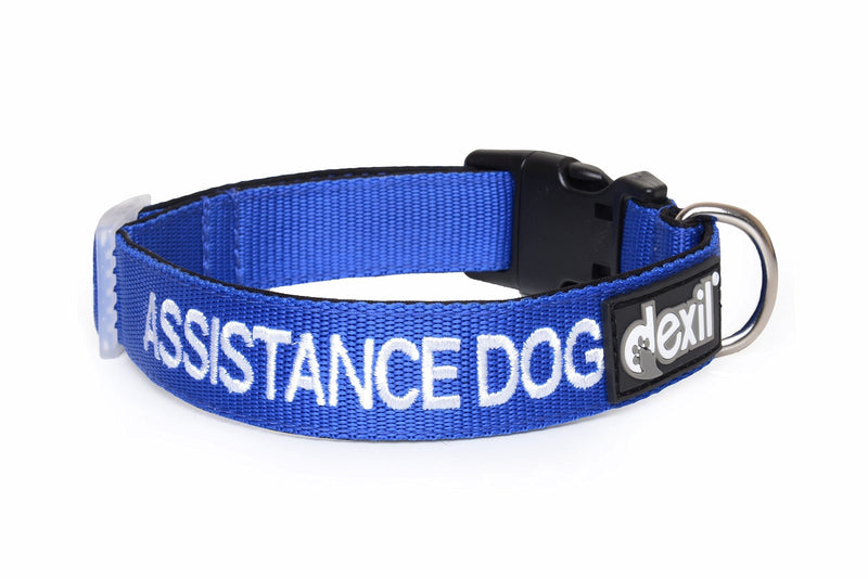 ASSISTANCE DOG Colour Coded S-M L-XL Dog Collars PREVENTS Accidents By Warning Others Of Your Dog In Advance (L-XL) Large-X Large Collar - PawsPlanet Australia