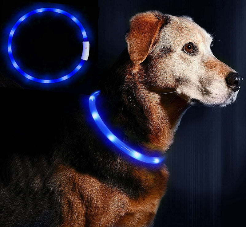 AnicollLED Dog Collar, USB Rechargeable Glowing Pet Safety Collars, Adjustable Cut to Any Size - Light Up Dog Collar for Small Medium Large Dogs and Cats- 3 Modes 12 Lights(Blue) Blue - PawsPlanet Australia