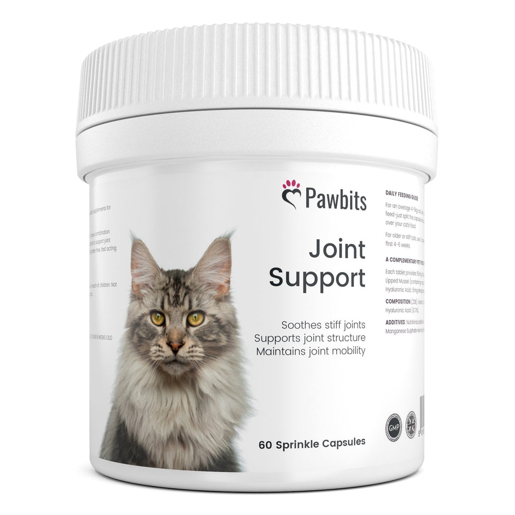 Pawbits 60 Joint Support for Cats Tablets for Stiff & Mature Adult Cats Anti-Inflammatory Relief Supplements, Green Lipped Mussel, Glucosamine & Hyaluronic Acid Sprinkle Capsules (60) 60 Tablets - PawsPlanet Australia