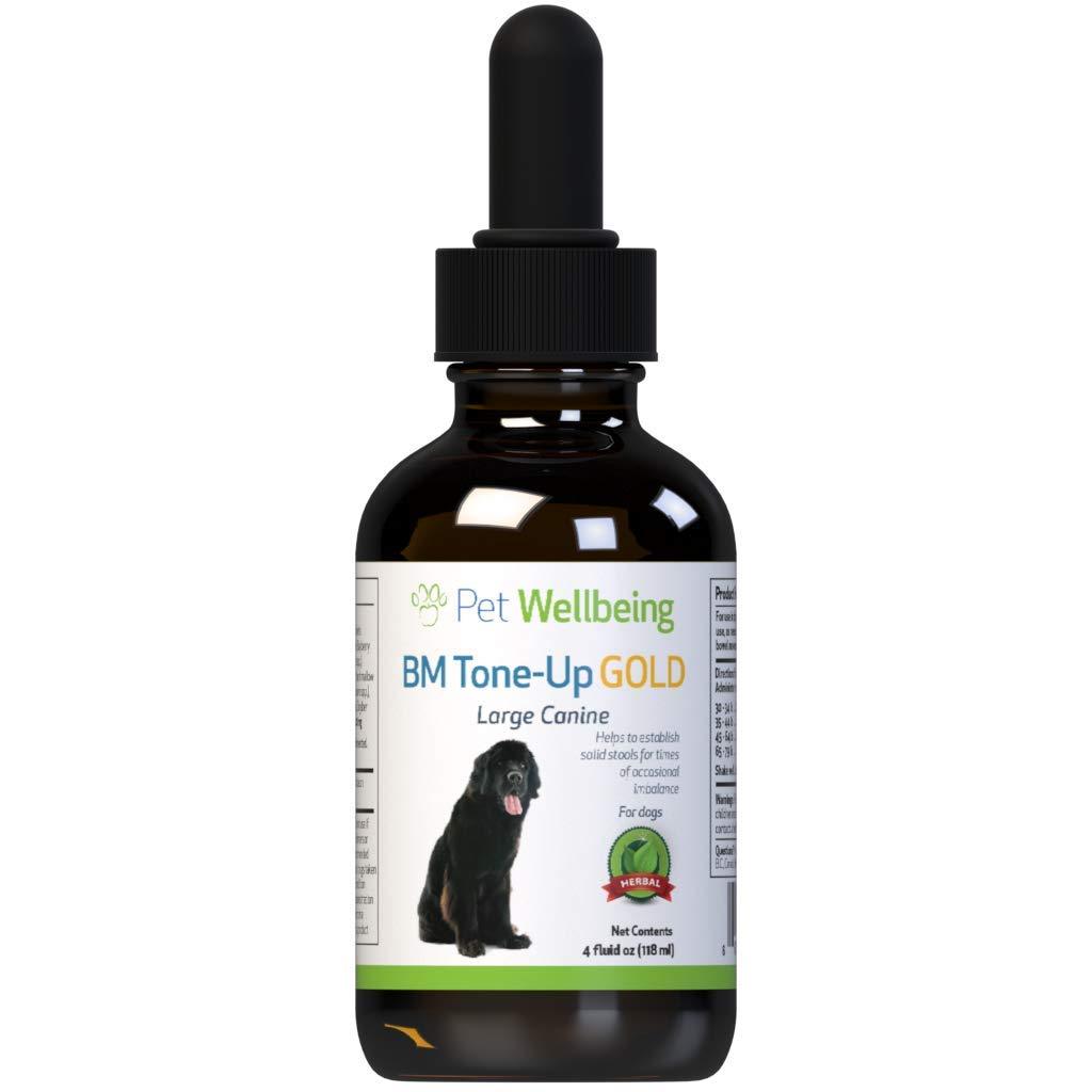 Pet Wellbeing Bm Tone Up Gold - Stabilizes Bowel Movements And Stools In Dogs With Diarrhea - PawsPlanet Australia